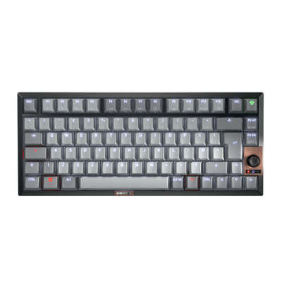 CHERRY KW 300W MX - MX2A SILENT RED SWITCH Keyboard